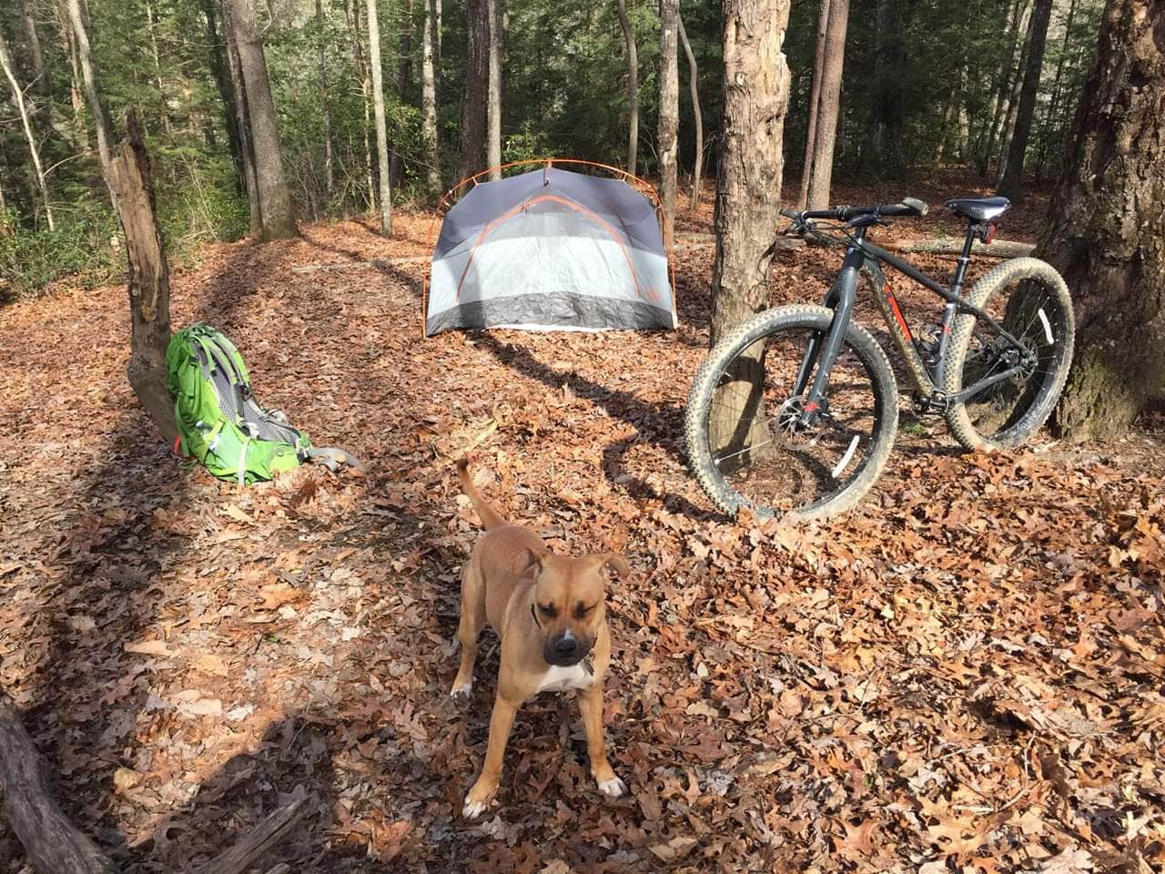 Megan T.'s photo of camping with pets at Cloudland Canyon State Park Campground near Mount Berry, GA
