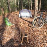 Review photo of Cloudland Canyon State Park Campground by Megan T., February 10, 2019
