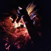 Review photo of Cloudland Canyon State Park Campground by Megan T., February 10, 2019