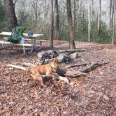 Review photo of Cloudland Canyon State Park Campground by Megan T., February 10, 2019