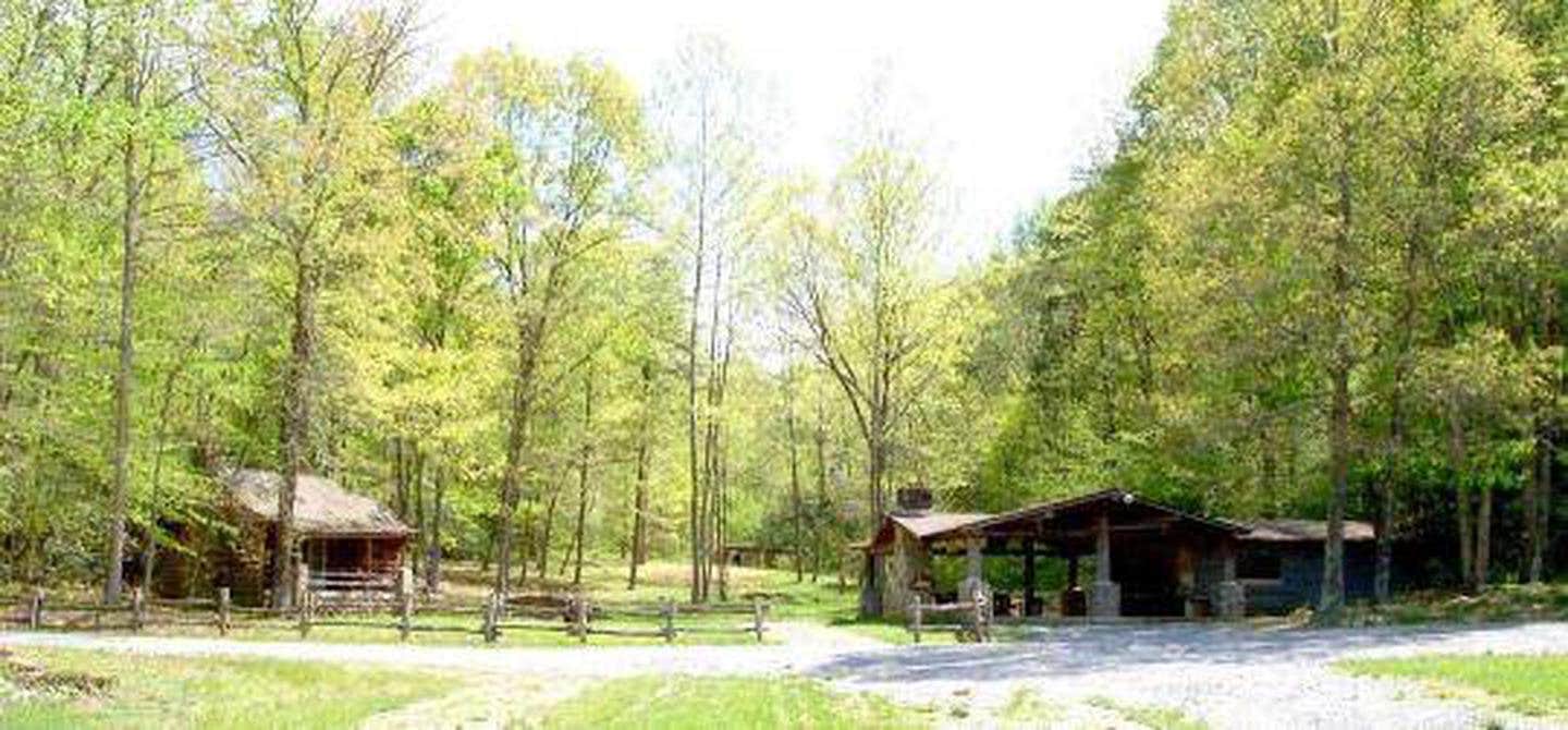 Camper-submitted photo at Katy Branch near Ducktown, TN