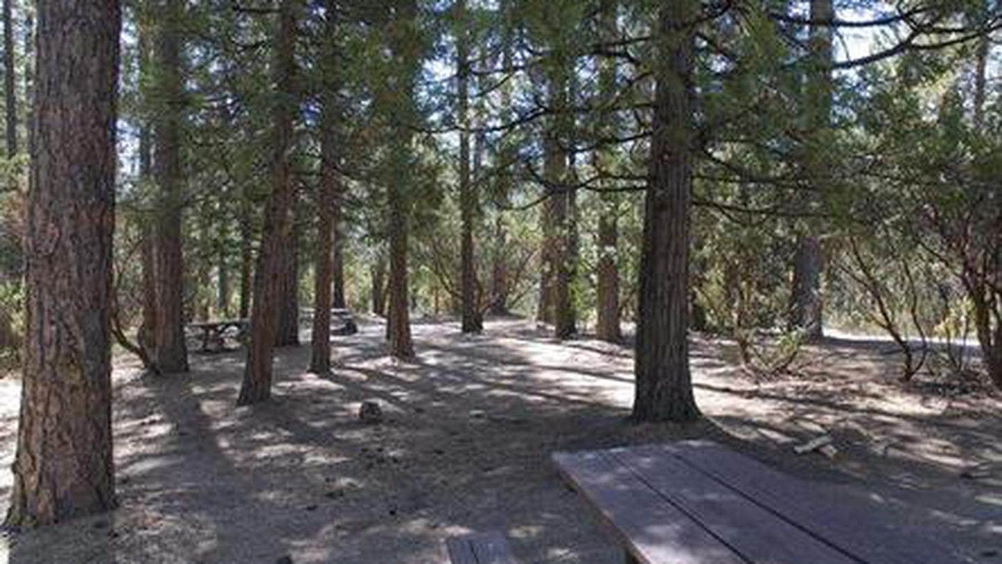 Camper submitted image from Crane Valley - 4