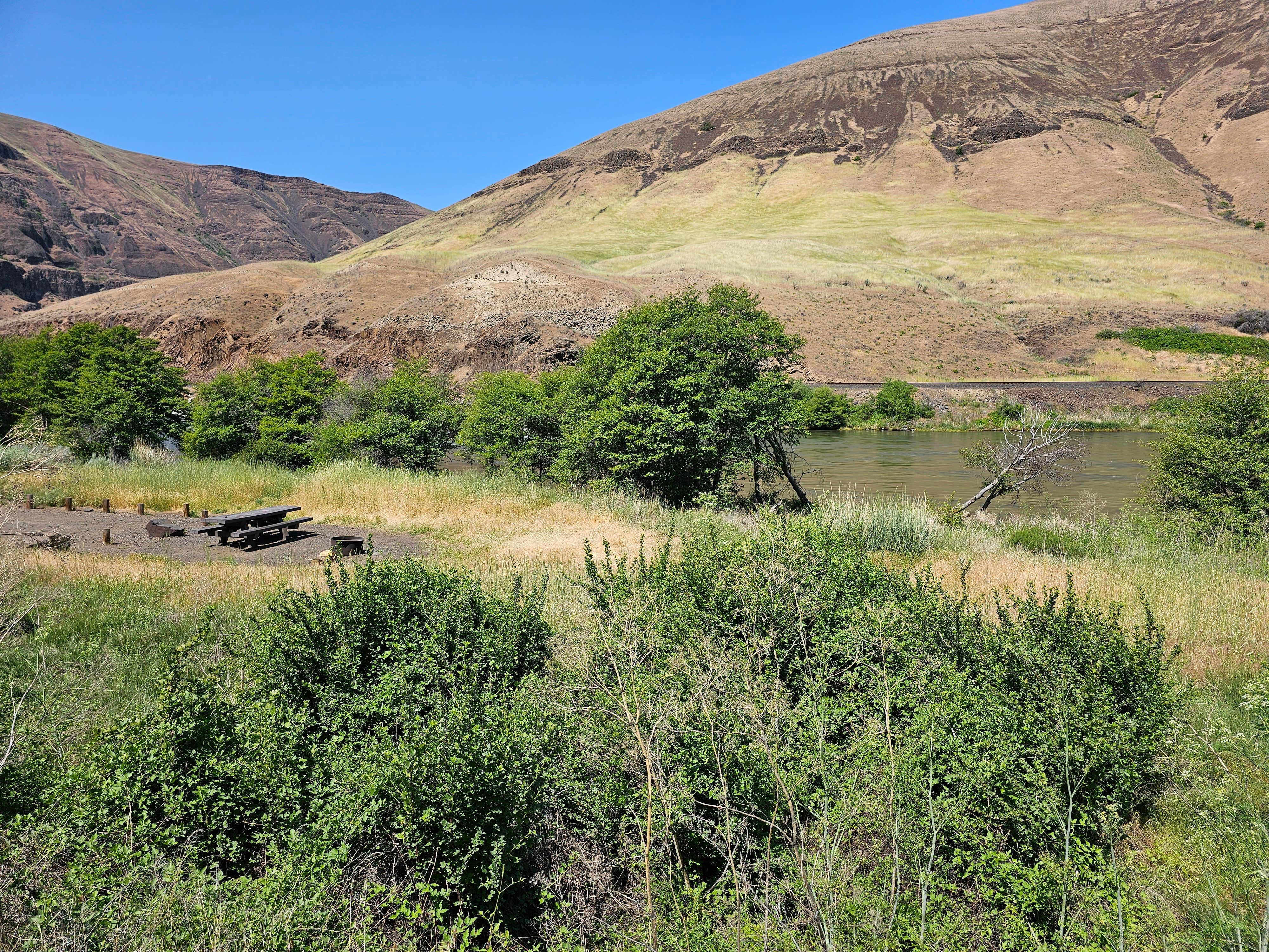 Camper submitted image from Jones Canyon Campground — Lower Deschutes Wild And Scenic River - 1