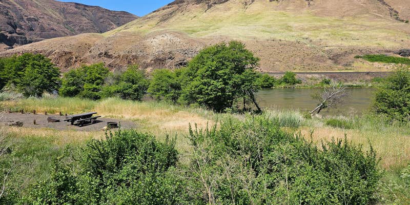 Camper submitted image from Jones Canyon Campground — Lower Deschutes Wild And Scenic River