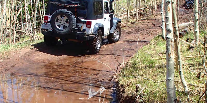 Camper submitted image from Medano Pass Primitive Road — Great Sand Dunes National Preserve