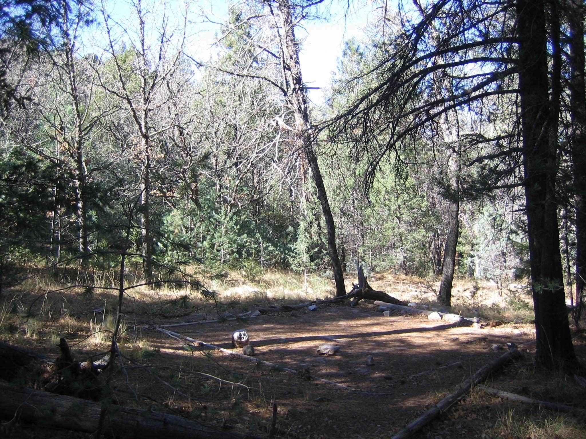 Camper-submitted photo at Marcus Wilderness Campground — Guadalupe Mountains National Park near Dell City, TX