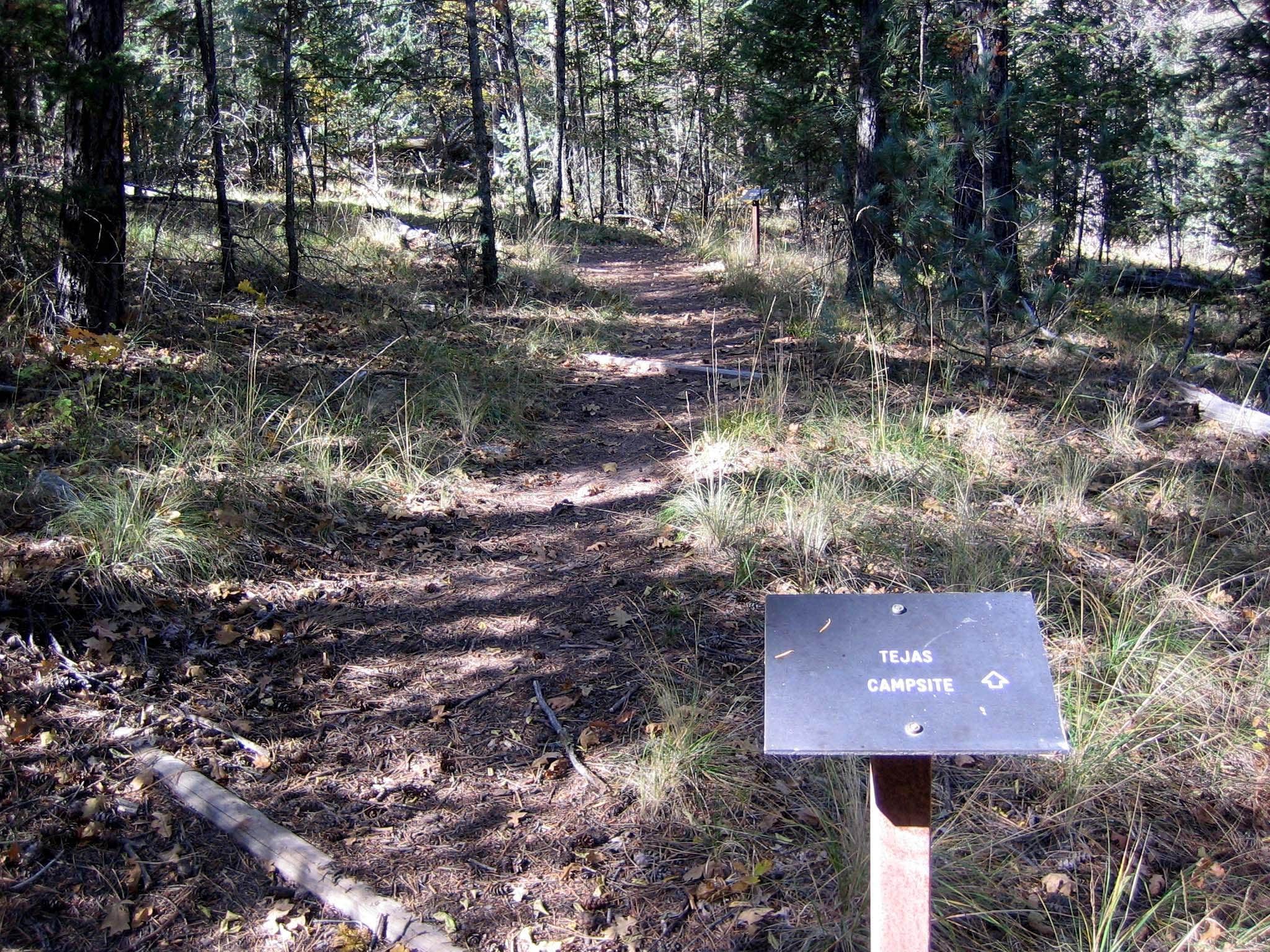 Camper submitted image from Shumard Canyon Wilderness Campground — Guadalupe Mountains National Park - 1