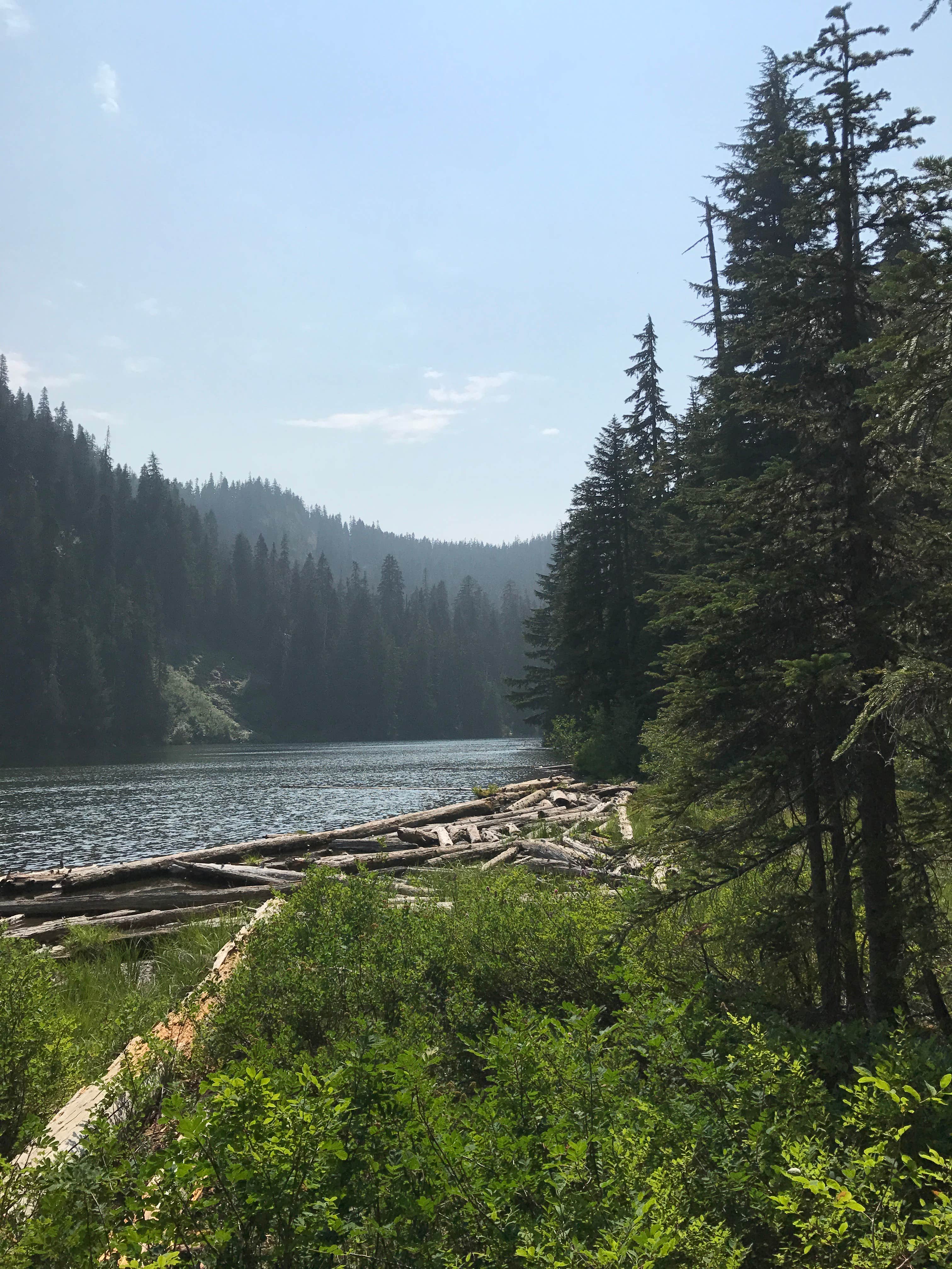 Camper submitted image from Serene Lake - 2
