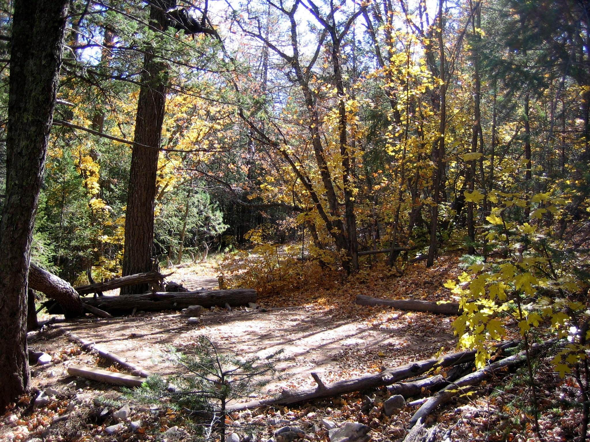 Camper-submitted photo at Bush Mountain Wilderness Campground — Guadalupe Mountains National Park near Salt Flat, TX