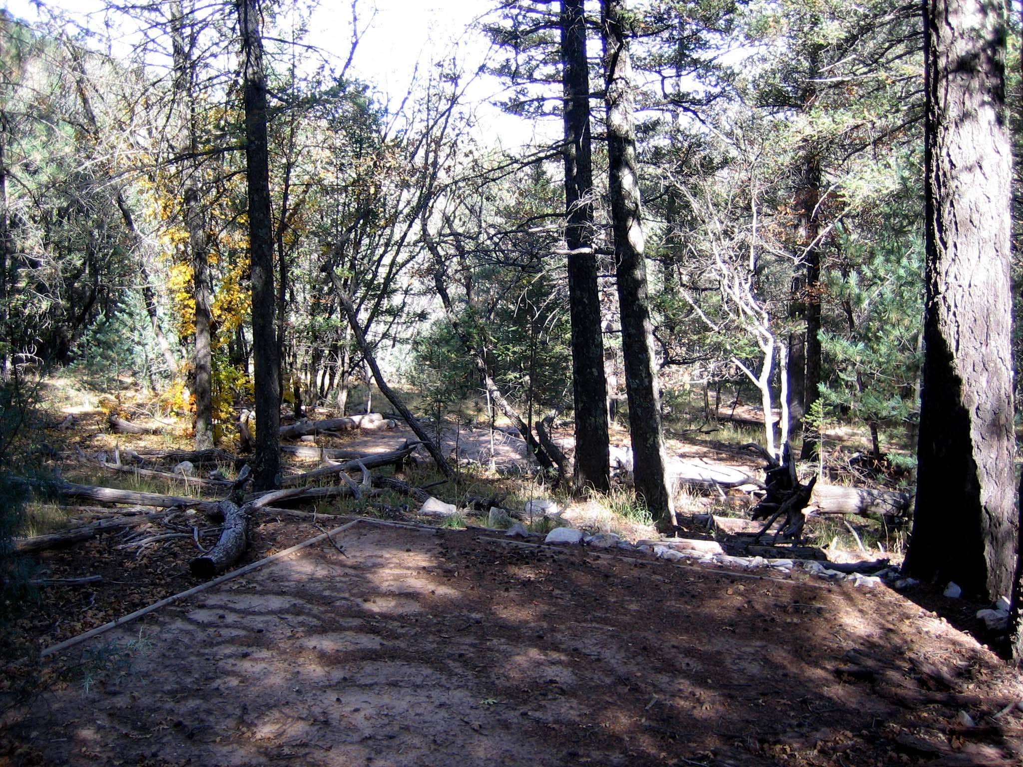 Camper-submitted photo at Bush Mountain Wilderness Campground — Guadalupe Mountains National Park near Salt Flat, TX