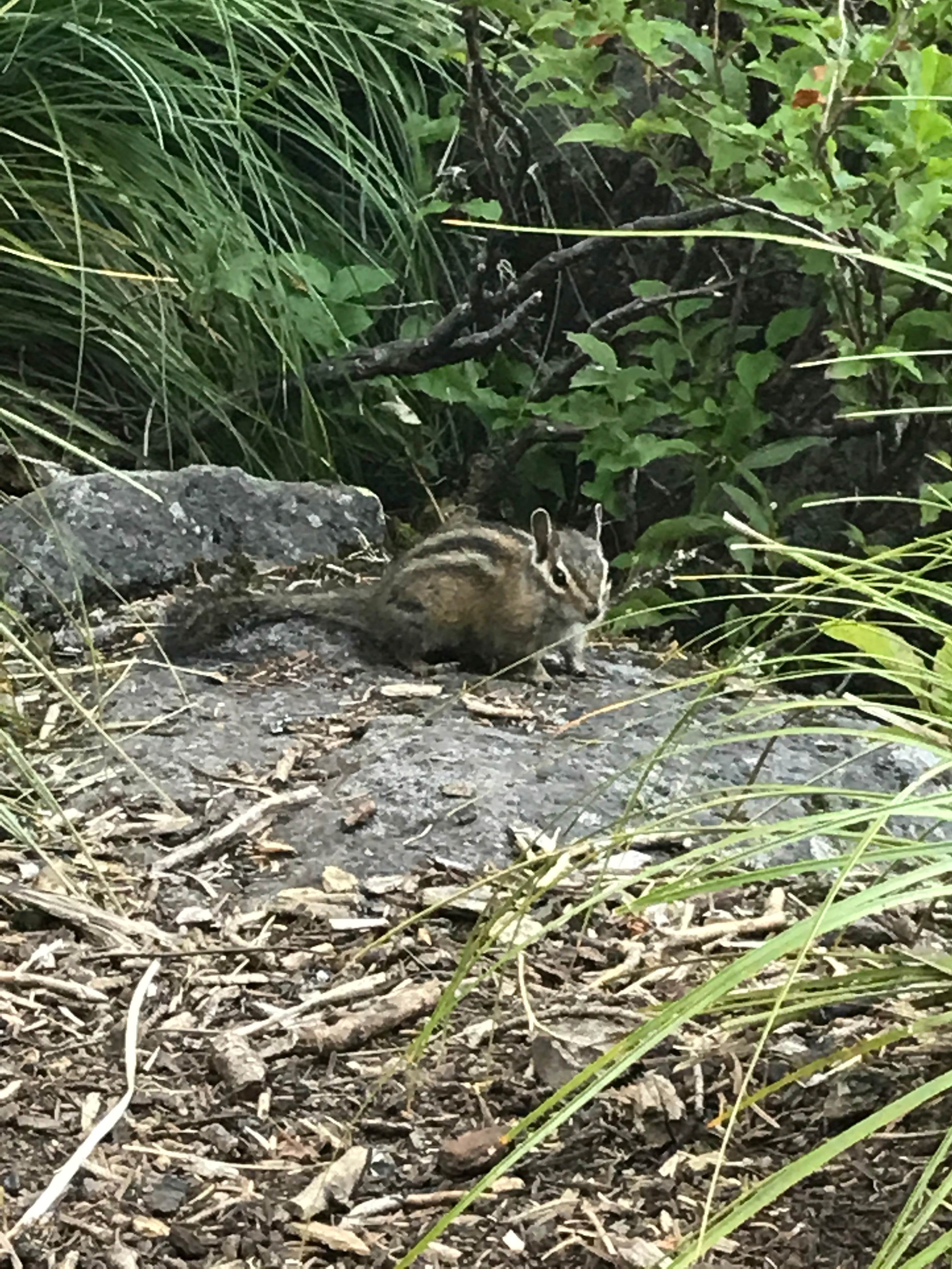Camper-submitted photo at Serene Lake near Molalla, OR
