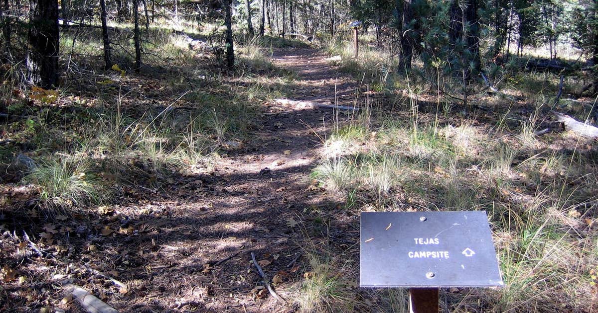 Guadalupe Peak Wilderness Campground — Guadalupe Mountains National Park