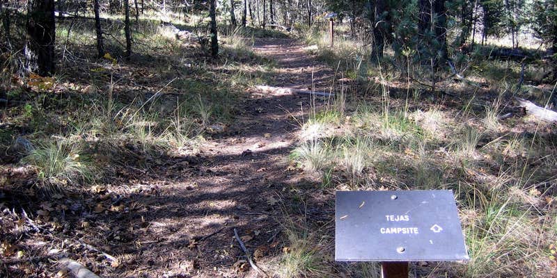 Camper submitted image from Guadalupe Peak Wilderness Campground — Guadalupe Mountains National Park
