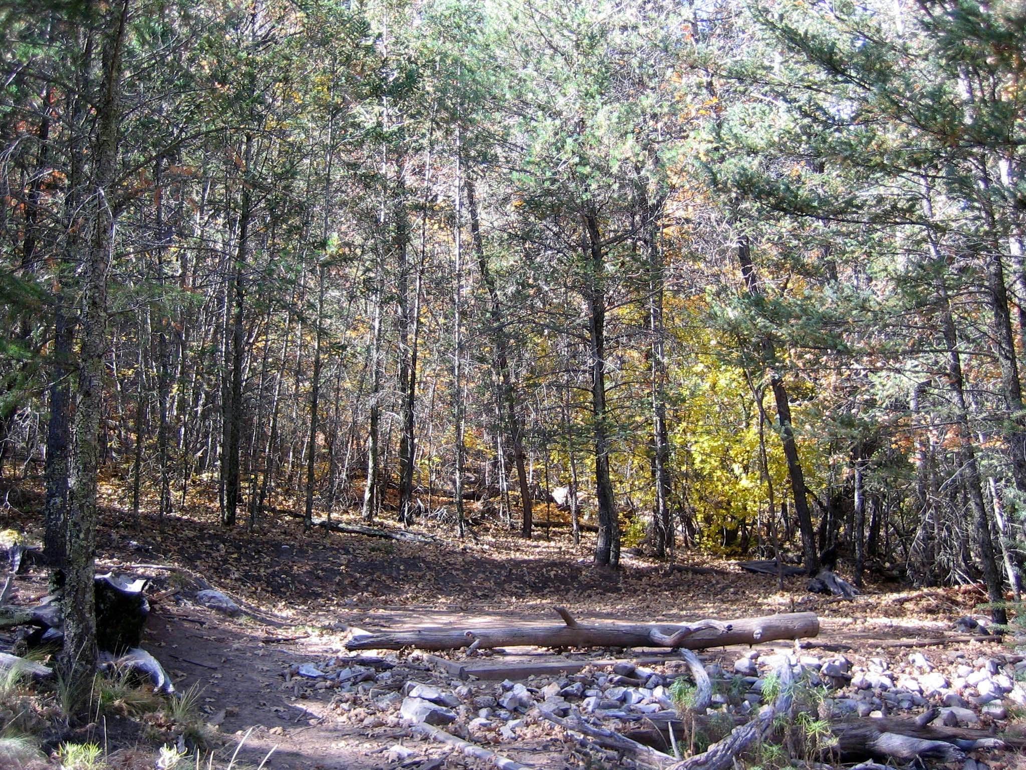 Camper-submitted photo at Guadalupe Peak Wilderness Campground — Guadalupe Mountains National Park near Salt Flat, TX