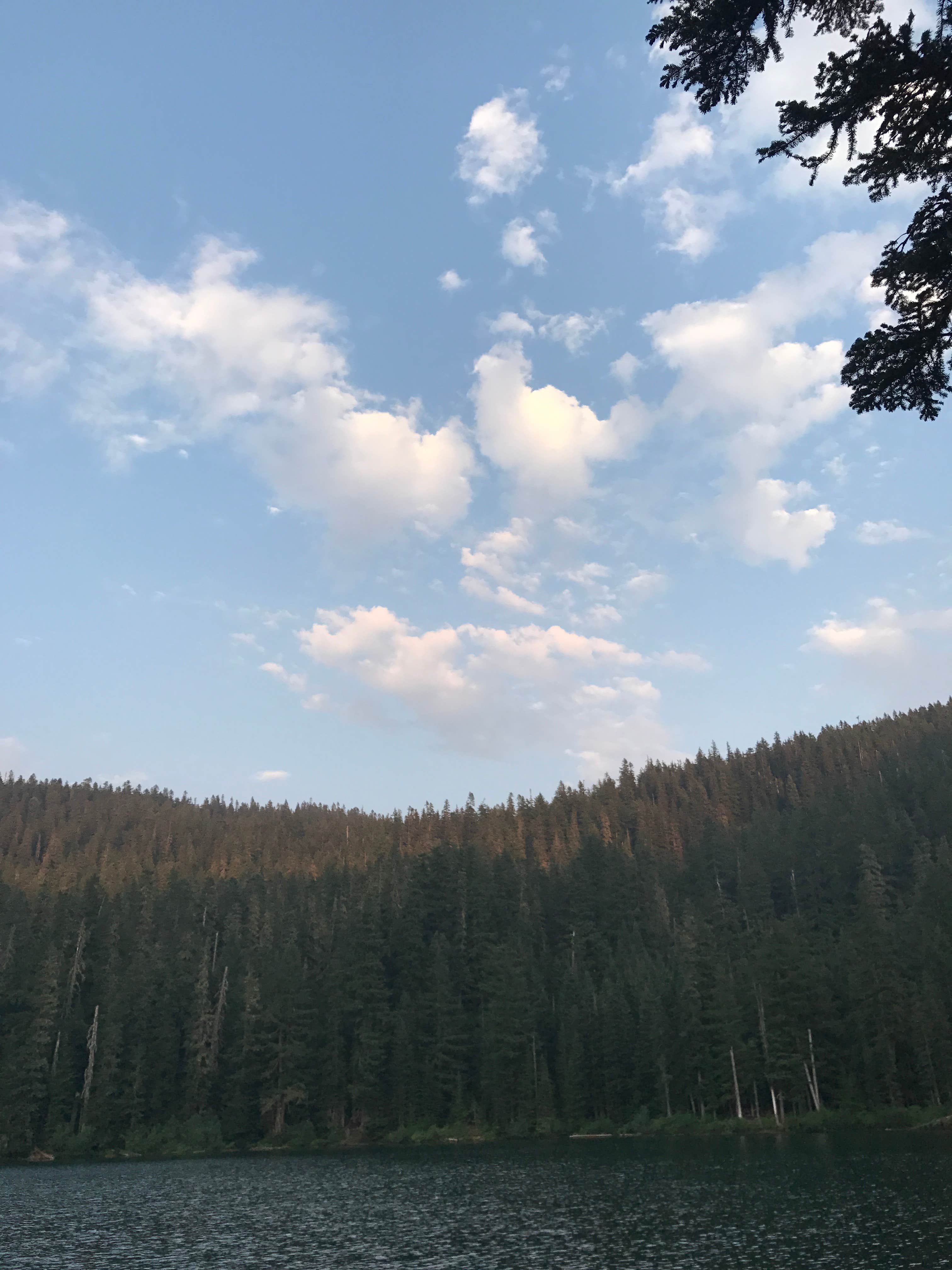 Camper-submitted photo at Serene Lake near Molalla, OR