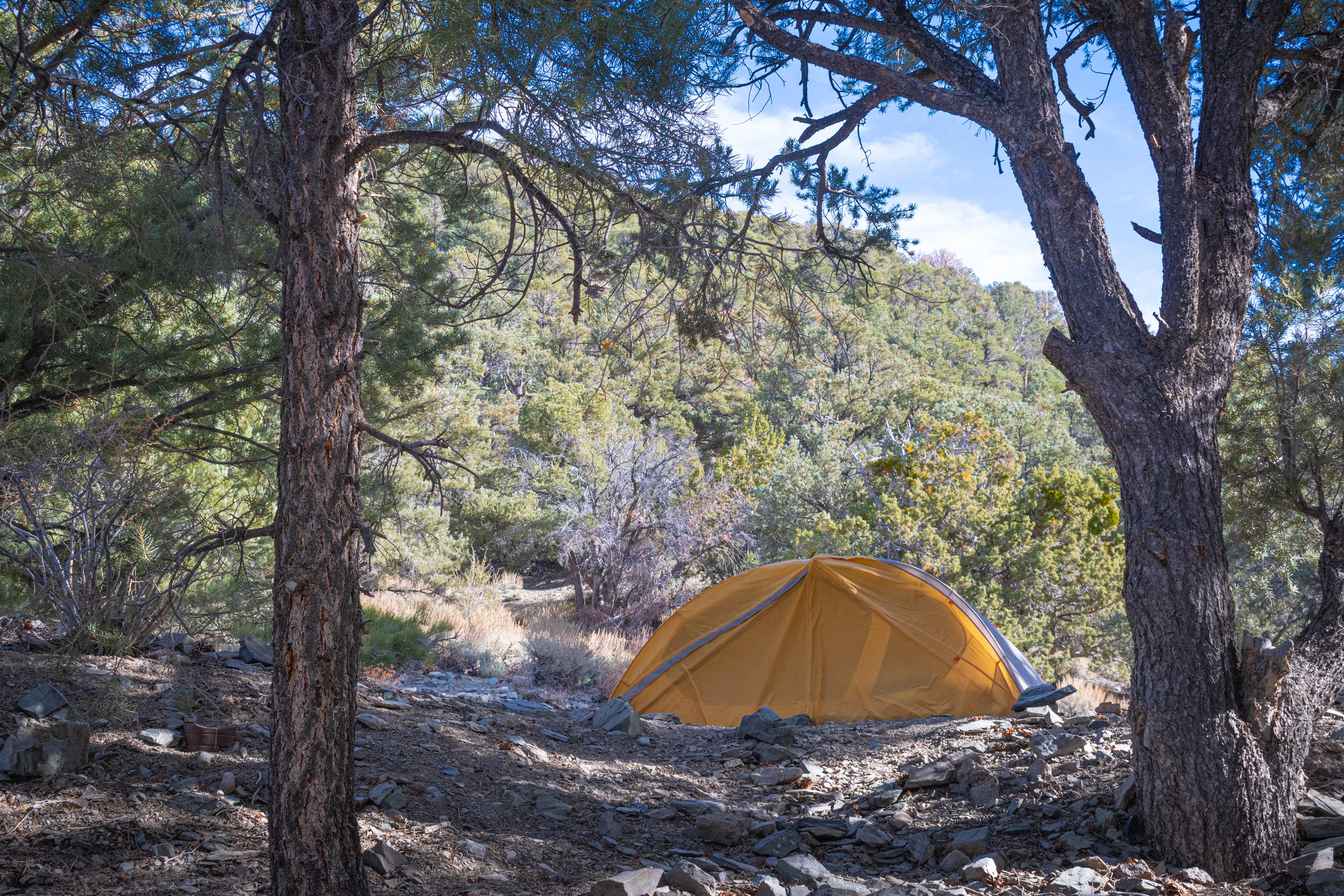 Camper submitted image from Thorndike Primitive Campground — Death Valley National Park - 2