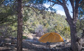 The Dyrt's photo at Thorndike Primitive Campground — Death Valley National Park near Death Valley National Park