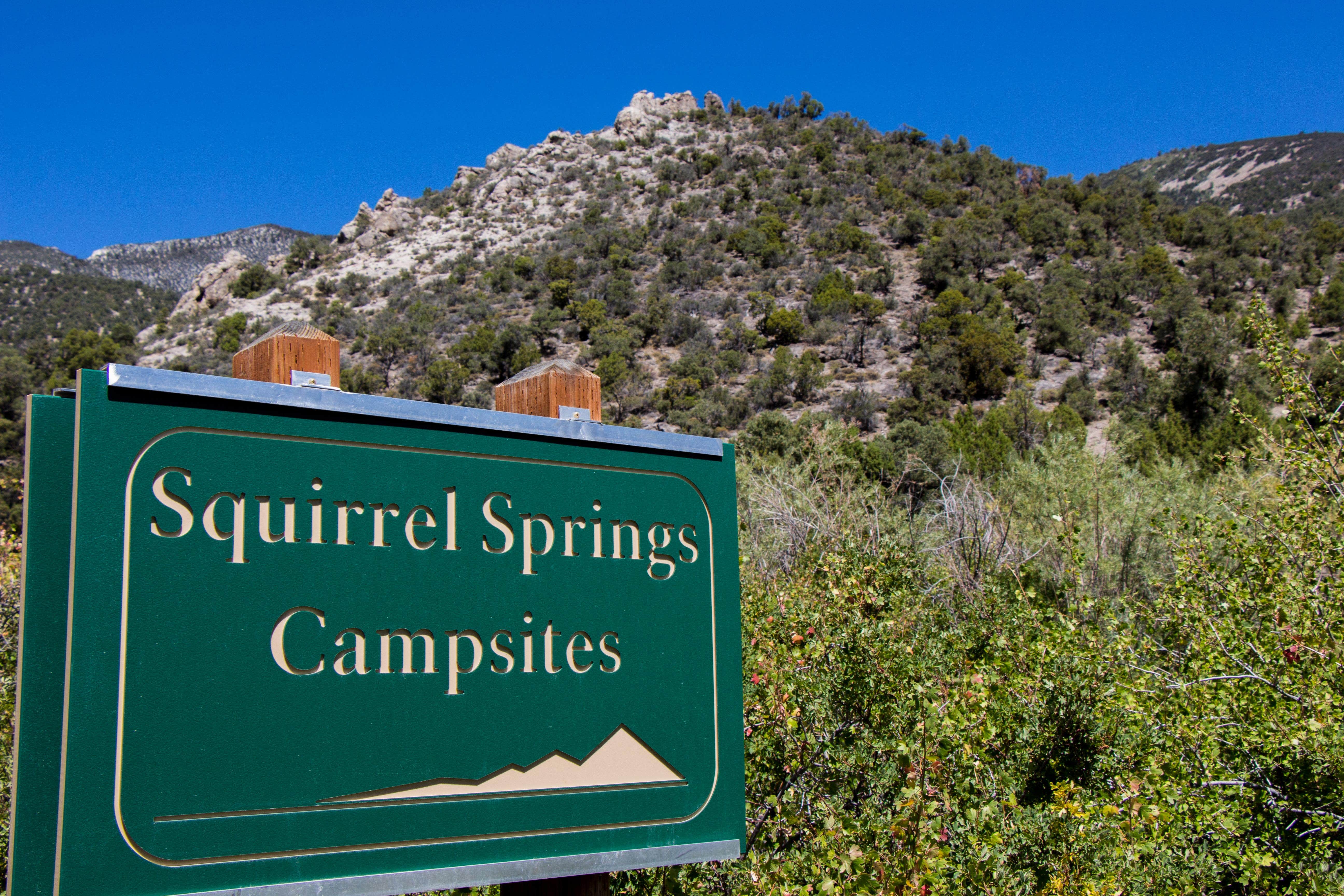 Camper submitted image from Snake Creek Campsites — Great Basin National Park - 1