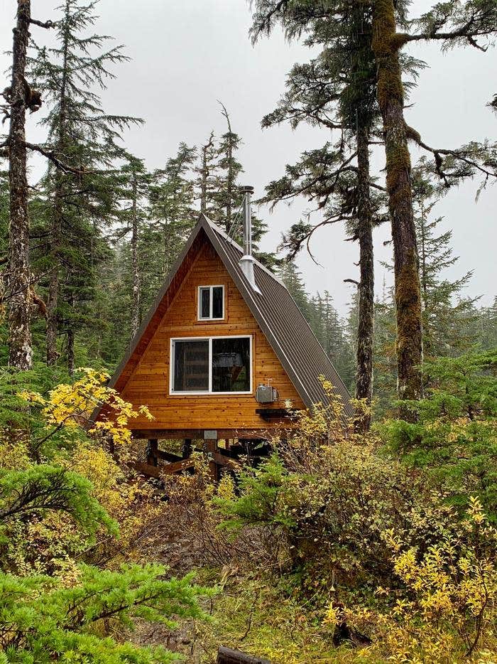 Camper submitted image from Goose Bay Cabin - 2