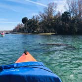 Review photo of Salt Springs Recreation Area by Janet S., February 11, 2019