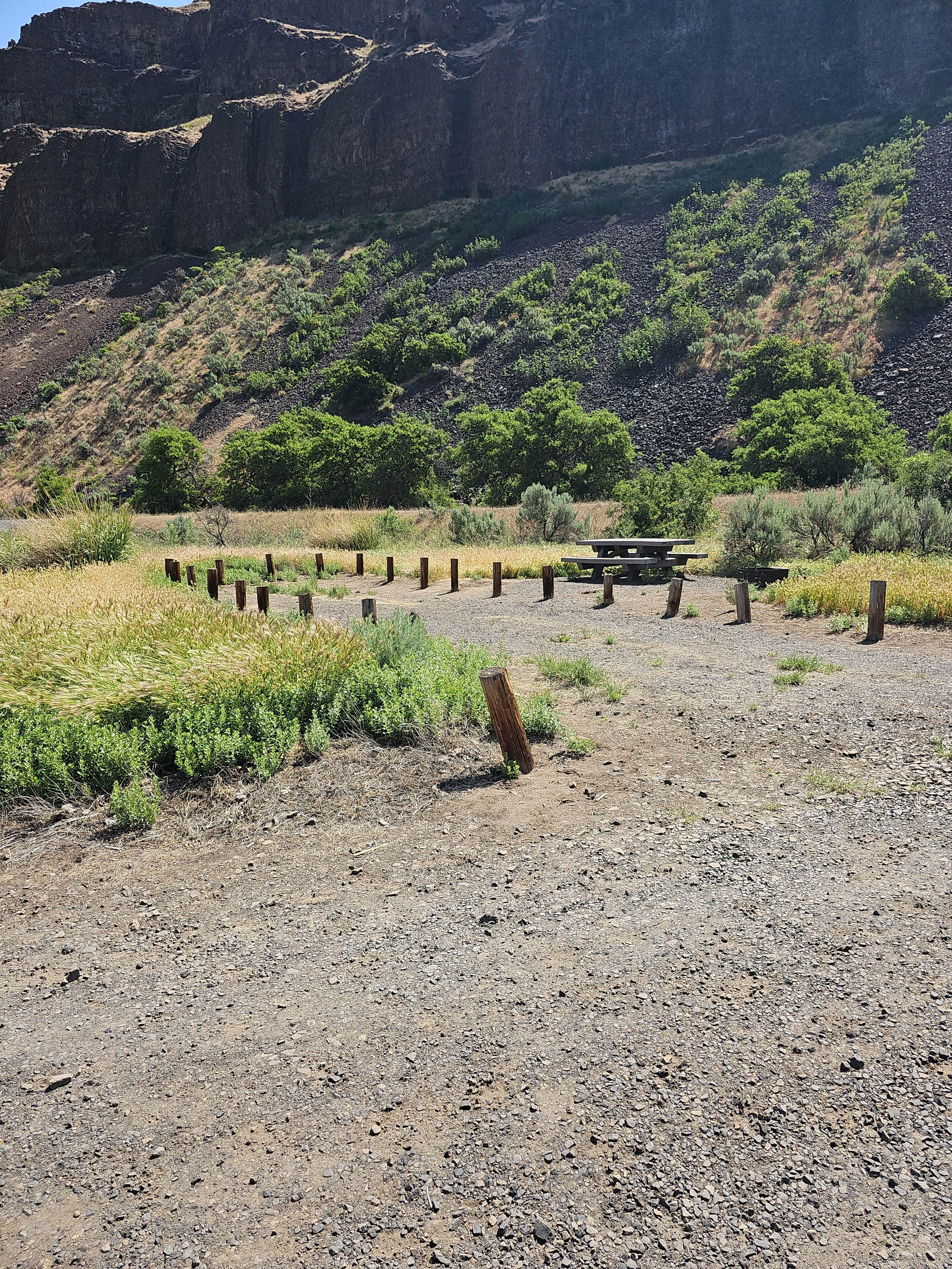 Camper submitted image from Jones Canyon Campground — Lower Deschutes Wild And Scenic River - 5