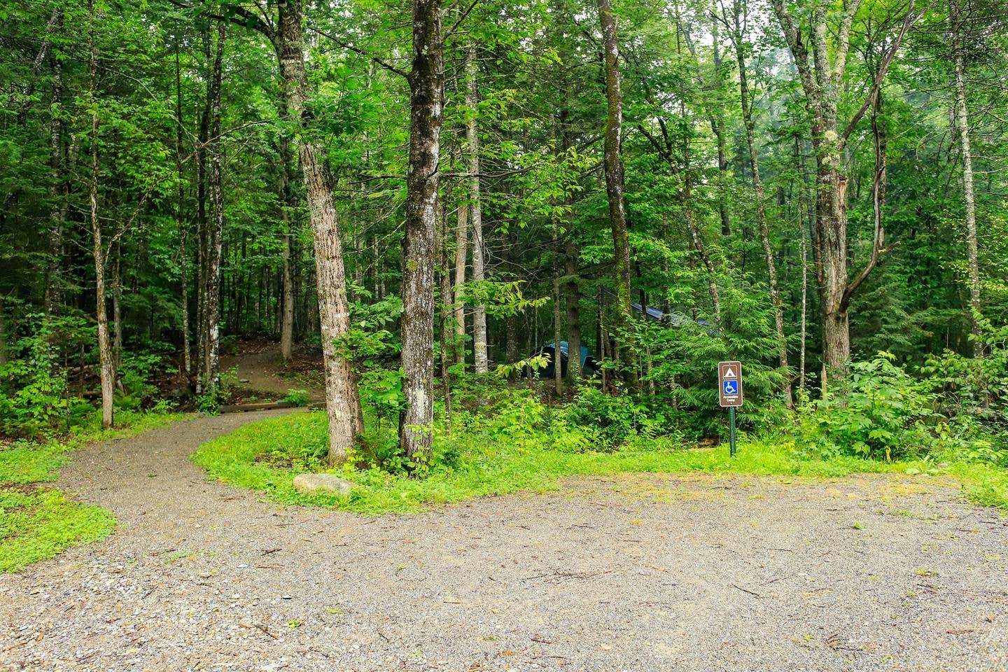 Camper submitted image from Haskell Campsite — Katahdin Woods And Waters National Monument - 2