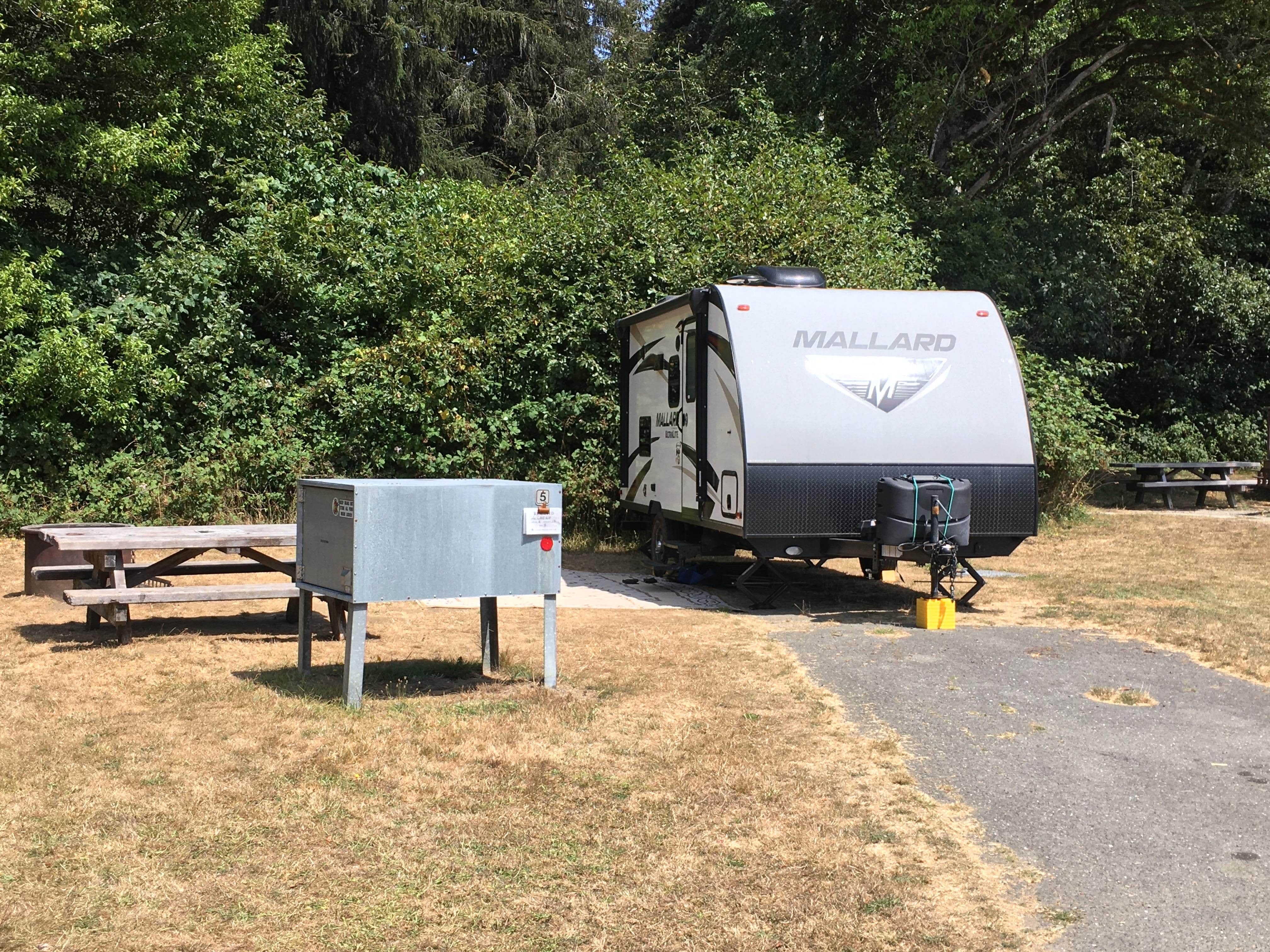 Camper-submitted photo at Elk Prairie Campground — Prairie Creek Redwoods State Park in California