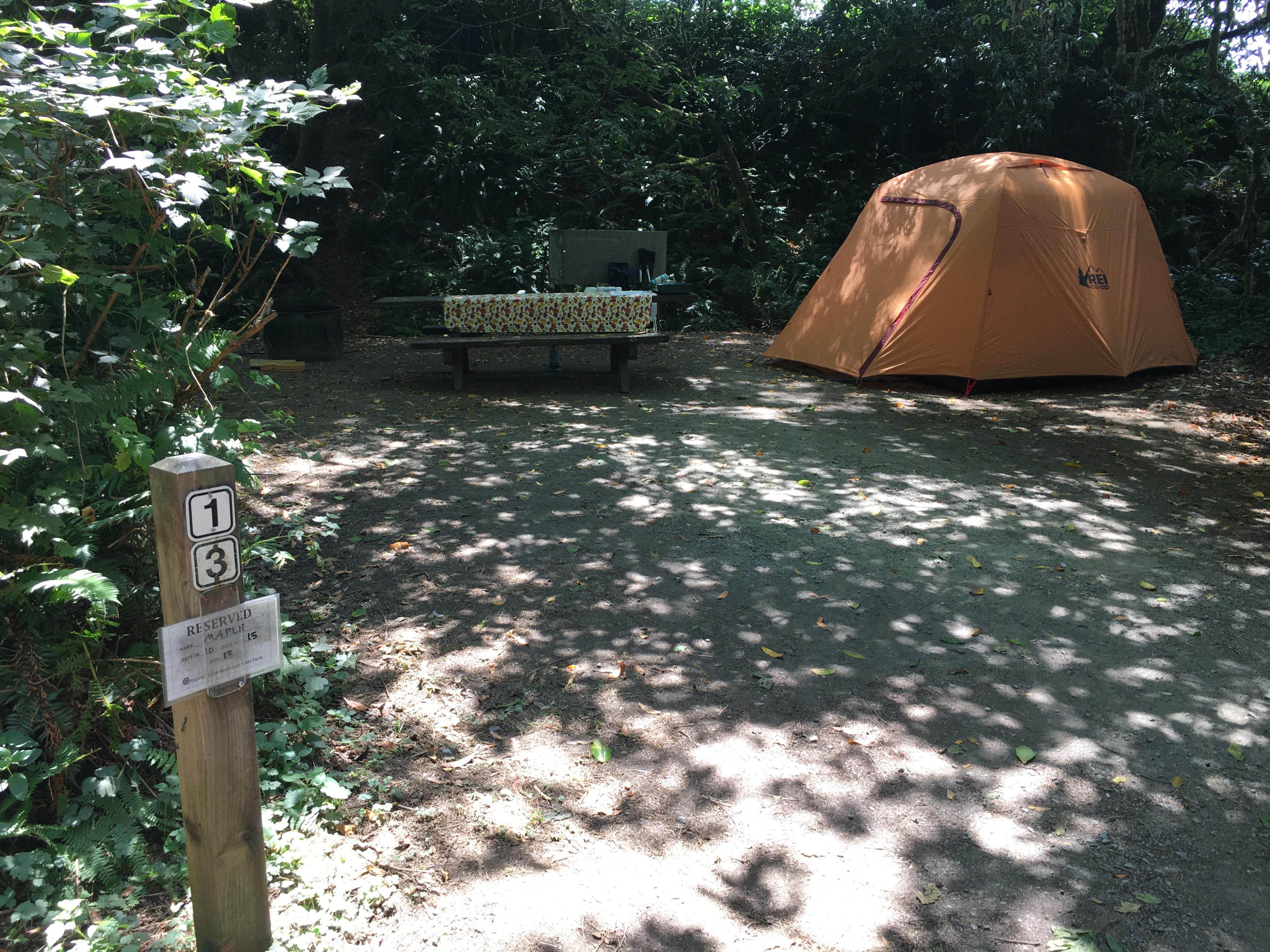 Camper-submitted photo at Elk Prairie Campground — Prairie Creek Redwoods State Park in California