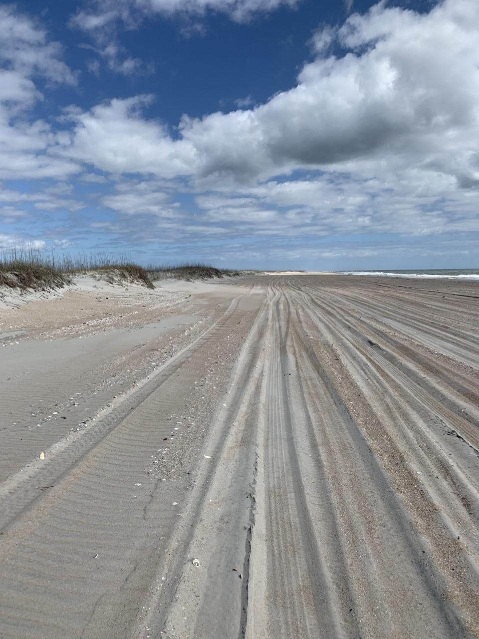 The Dyrt's photo of a dispersed camping area at South Core Banks -- Beach Camping — Cape Lookout National Seashore near Havelock, NC