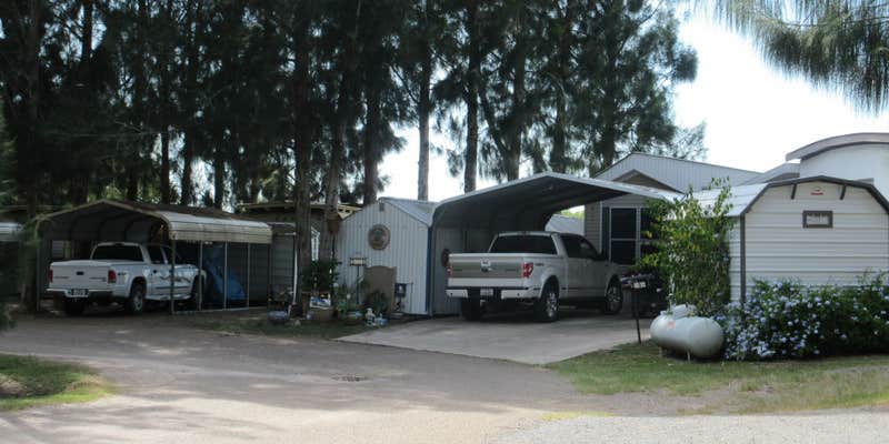 Camper submitted image from River Ranch Resort