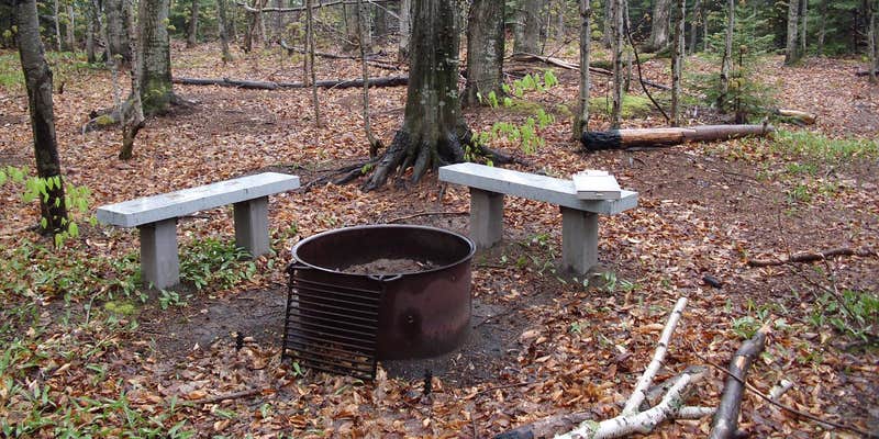 Camper submitted image from Gull Point Campsite on Grand Island
