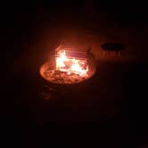 Review photo of Kiptopeke State Park Campground by Lena J., February 14, 2019