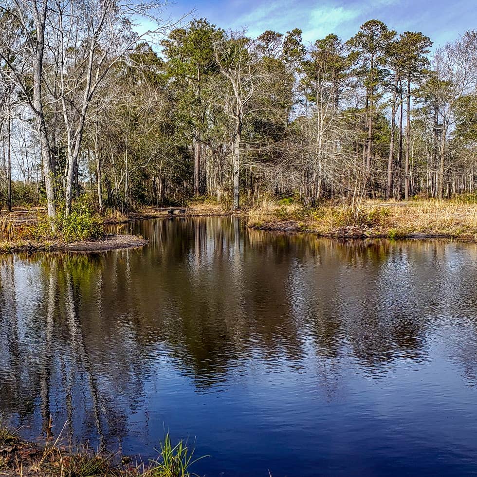 Holden Beach RV Campground Camping The Dyrt