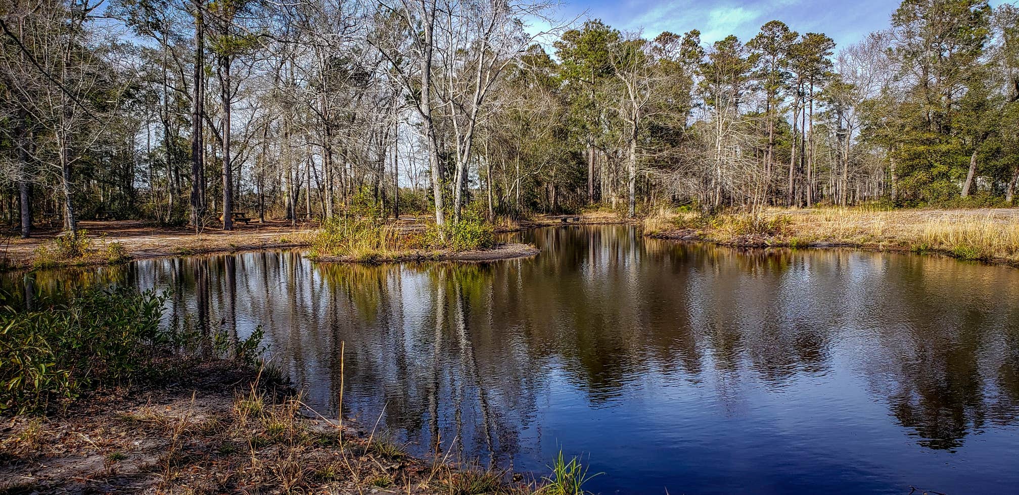 Camper submitted image from Holden Beach RV Campground - 2