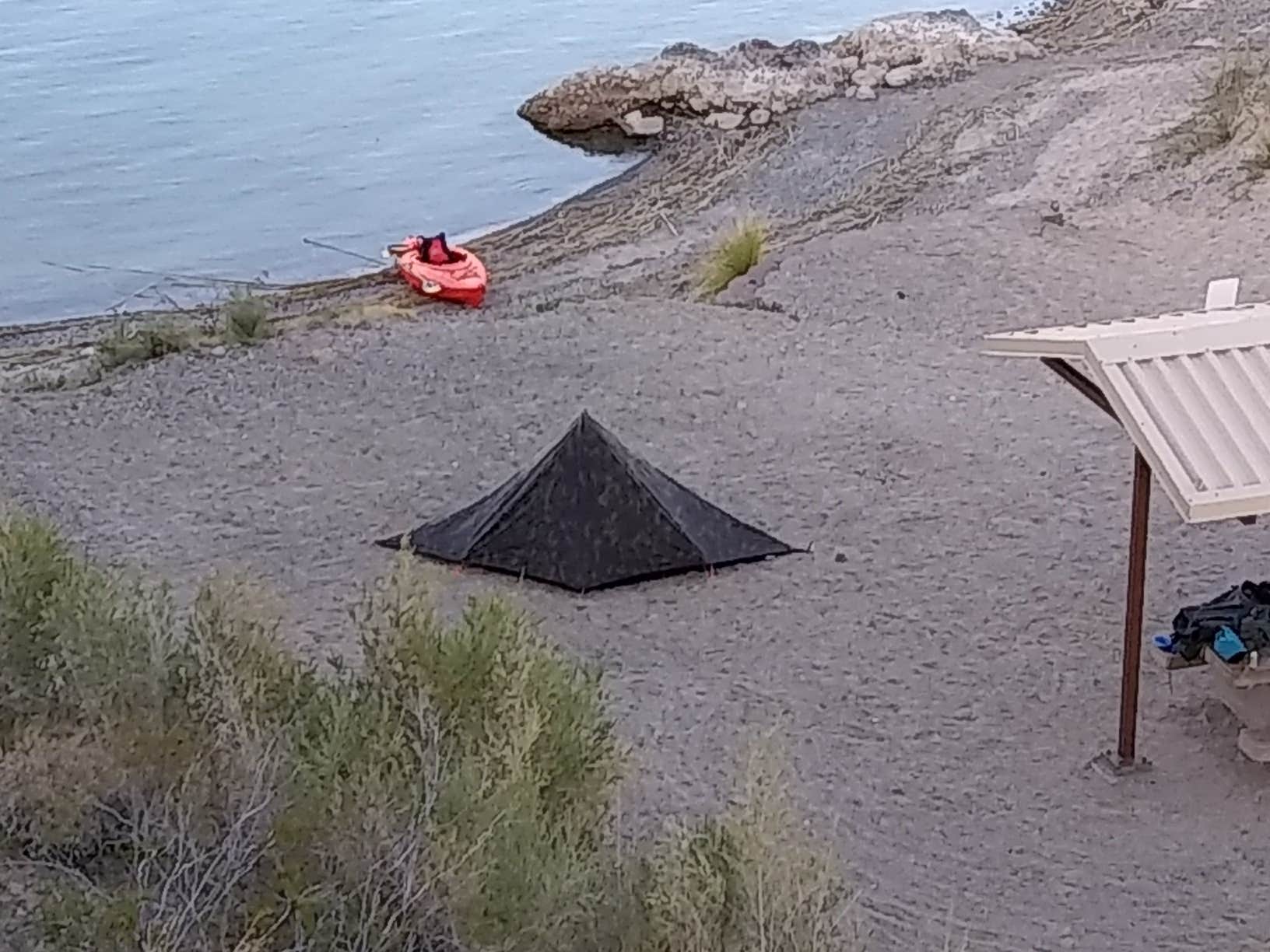 Camper submitted image from Lake Havasu State Park Campground - 4