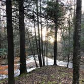 Review photo of Island Campground by Andy S., February 16, 2019