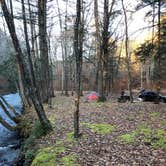 Review photo of Island Campground by Andy S., February 16, 2019