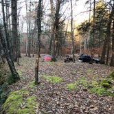 Review photo of Island Campground by Andy S., February 16, 2019