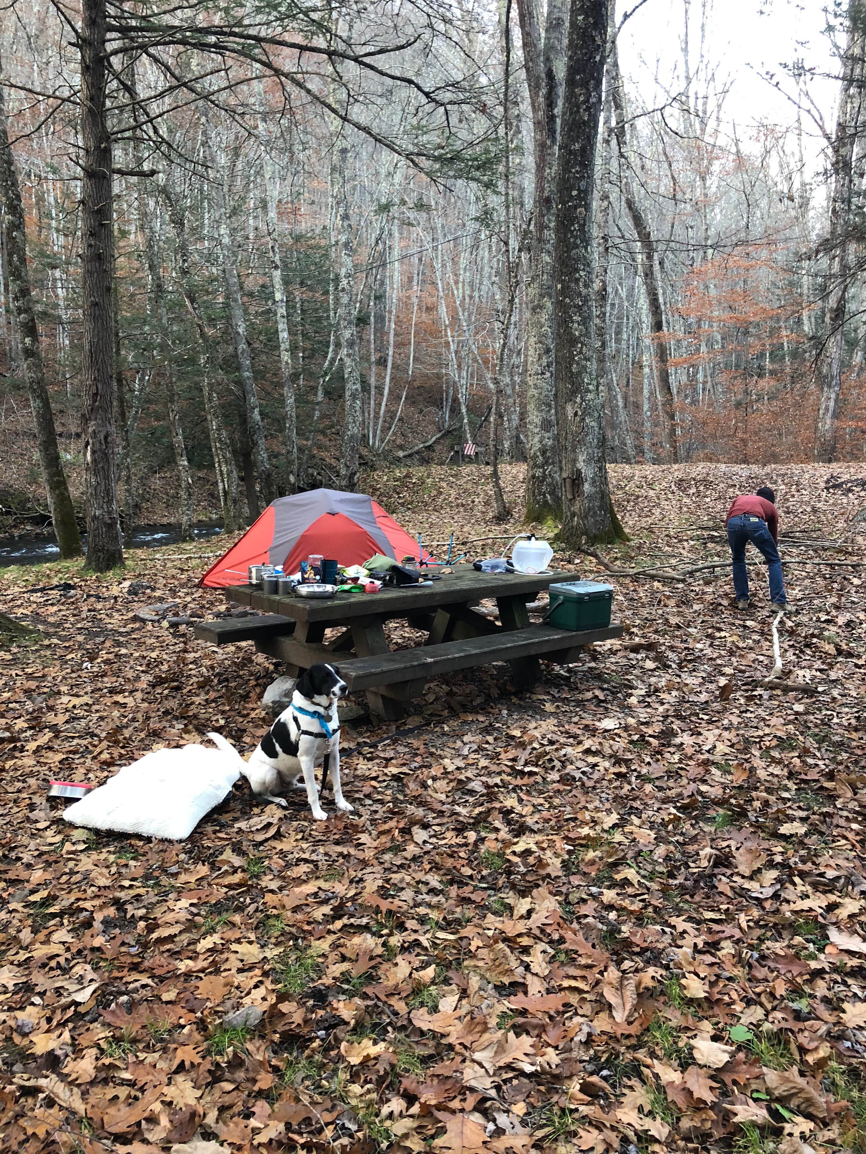 Andy S.'s photo at Island Campground near Blue Grass, VA