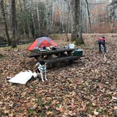 Review photo of Island Campground by Andy S., February 16, 2019