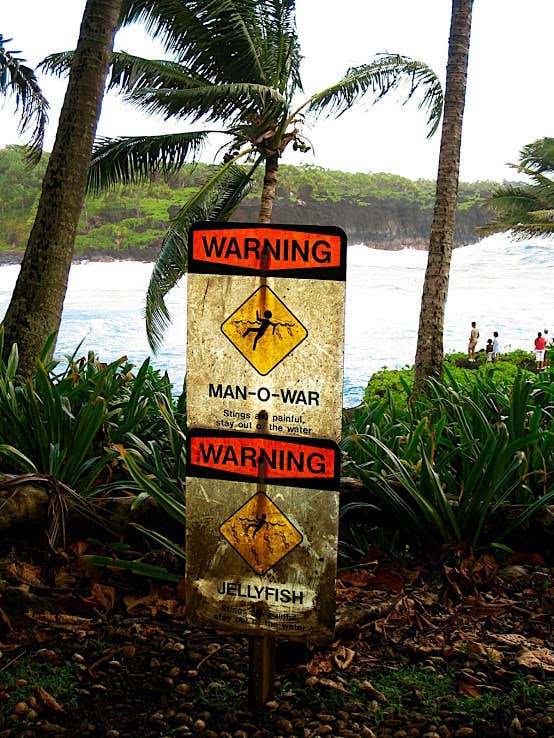 Camper submitted image from Waiʻanapanapa State Park Campground - 5