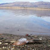 Review photo of Port Ramp Marina by Brendan A., August 24, 2016