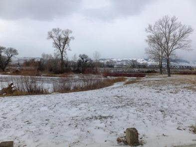 Camper-submitted photo at Indian Road Campground near Townsend, MT