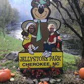 Review photo of Yogi Bear's Jellystone Park Camp-Resort Yogi Bear in the Smokies by John A., February 20, 2019