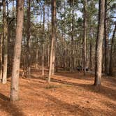 Review photo of Red Top Mountain State Park Campground by Keith R., February 20, 2019