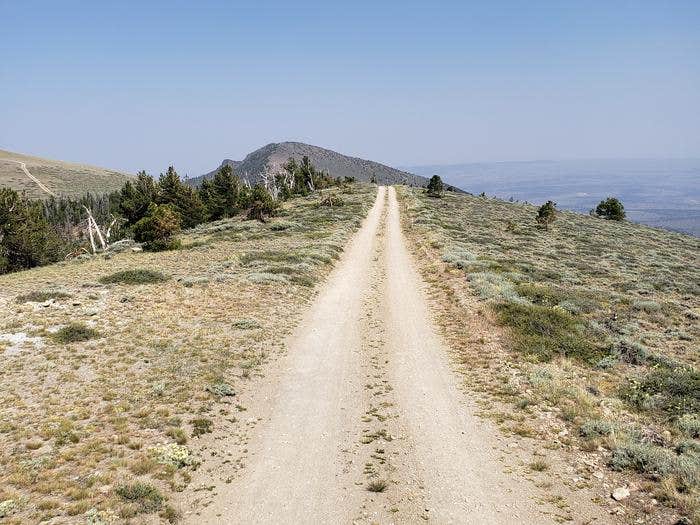 Camper submitted image from Drake Peak Lookout - 1