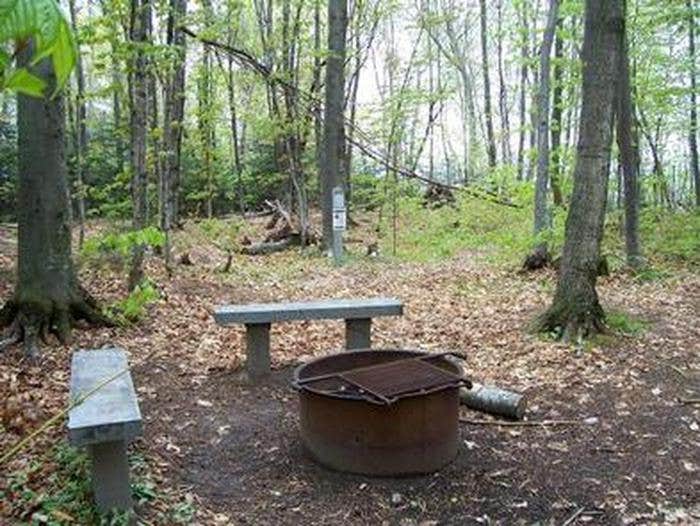 Camper submitted image from Gull Point Campsite on Grand Island - 4