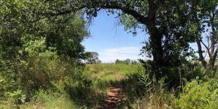 Camper submitted image from McBride Canyon & Mullinaw Creek Camp — Lake Meredith National Recreation Area