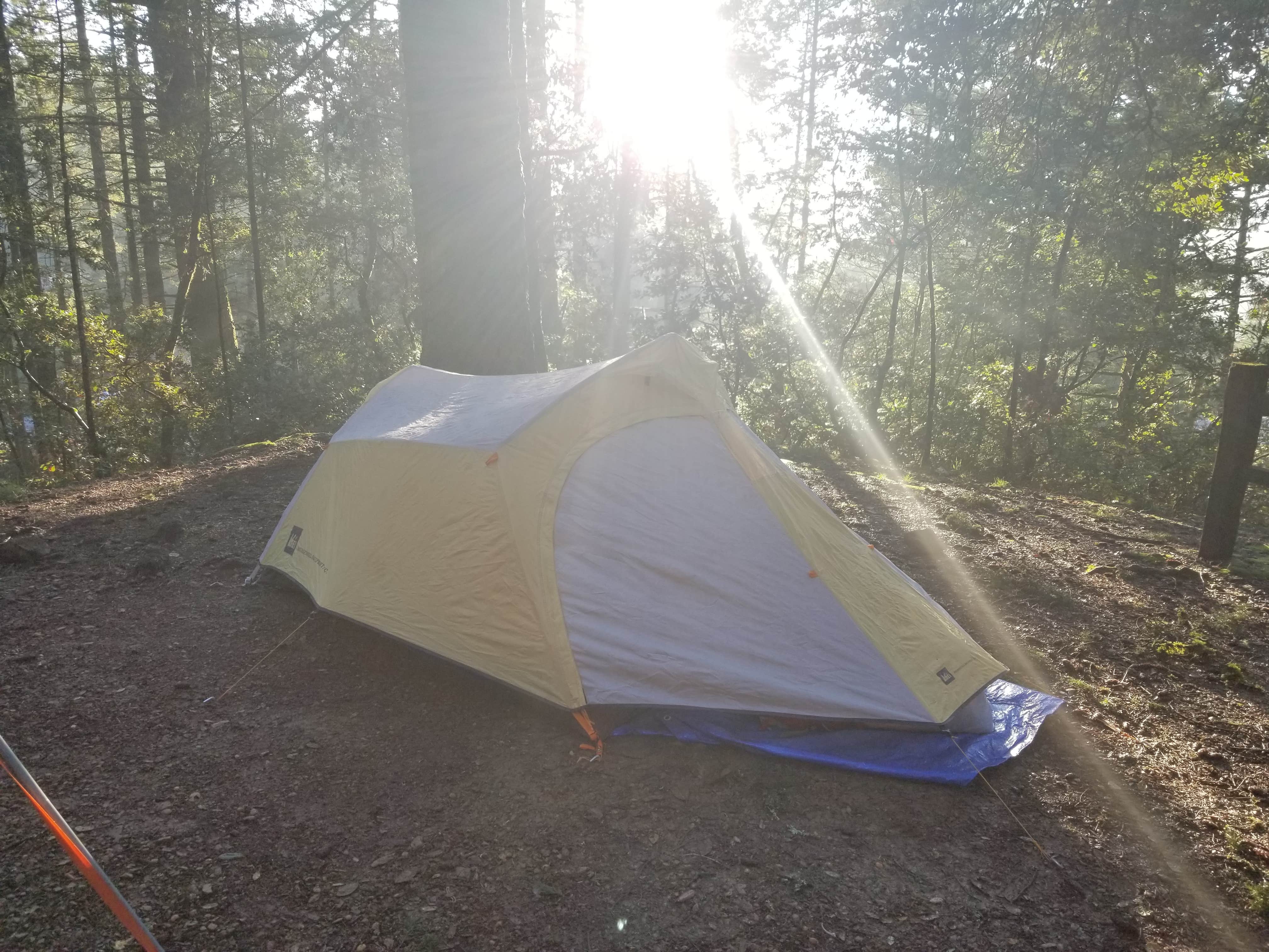 Jay S.'s photo of tent camping at Pantoll Campground — Mount Tamalpais State Park near Larkspur, CA