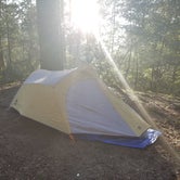 Review photo of Pantoll Campground — Mount Tamalpais State Park by Jay S., February 21, 2019